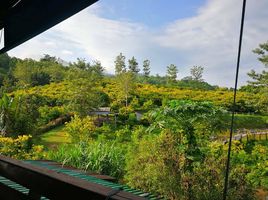  Land for sale in Phrae, Soi, Wang Chin, Phrae