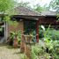บ้านเดี่ยว 2 ห้องนอน ให้เช่า ในทำเล เชียงใหม่, ป่าลาน, ดอยสะเก็ด, เชียงใหม่