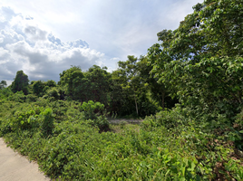 ขายที่ดิน ใน ทุ่งตะโก ชุมพร, ทุ่งตะไคร, ทุ่งตะโก