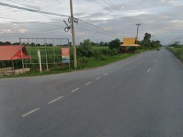  Land for sale in Nong Bua Noi, Sikhio, Nong Bua Noi