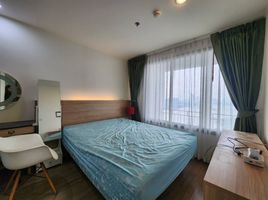 1 Schlafzimmer Appartement zu vermieten im U Delight Residence Riverfront Rama 3, Bang Phongphang, Yan Nawa, Bangkok