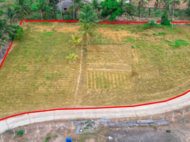  Land for sale in Pran Buri, Prachuap Khiri Khan, Wang Phong, Pran Buri