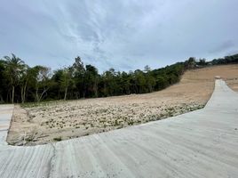  Grundstück zu verkaufen in Koh Samui, Surat Thani, Maenam