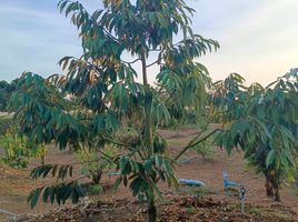  Grundstück zu verkaufen in Soi Dao, Chanthaburi, Sai Khao