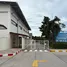  Land for sale in Koh Samui Surat Thani, Bo Phut