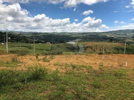  Land for sale in Santander, Curiti, Santander