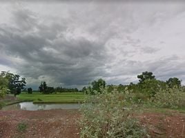  Land for sale in Nong Mamong, Chai Nat, Saphan Hin, Nong Mamong