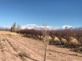  Land for sale in Argentina, Calingasta, San Juan, Argentina