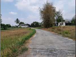  Land for sale in Nakhon Ratchasima, Nong Sarai, Pak Chong, Nakhon Ratchasima