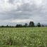  Land for sale in Muang Khom, Chai Badan, Muang Khom