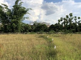  Land for sale in Chiang Mai International Airport, Suthep, San Phak Wan