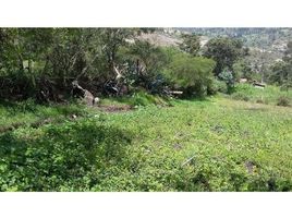  Land for sale in Gualaceo, Azuay, Gualaceo, Gualaceo