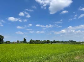  Grundstück zu verkaufen in Nong Khae, Saraburi, Nong Khaem, Nong Khae