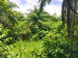  Grundstück zu verkaufen in Boquete, Chiriqui, Bajo Boquete