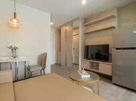 1 Bedroom Condo for rent at Regent Home Bangna, Bang Na, Bang Na, Bangkok, Thailand
