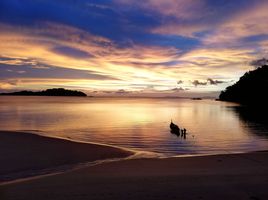  Grundstück zu verkaufen in Mueang Ranong, Ranong, Ko Phayam, Mueang Ranong, Ranong