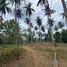  Land for sale in Mai Khao, Phuket, Mai Khao, Thalang