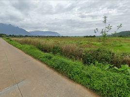  Grundstück zu verkaufen in Chiang Dao, Chiang Mai, Chiang Dao, Chiang Dao