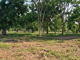  Land for sale in Chiang Rai, Huai Sak, Mueang Chiang Rai, Chiang Rai