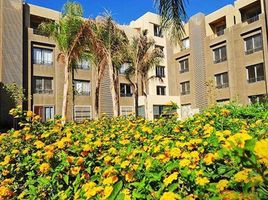 3 Bedroom Apartment for rent at Palm Parks Palm Hills, South Dahshur Link, 6 October City
