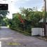  Land for sale in San Sai Chiang Mai, Nong Chom