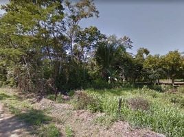  Land for sale in Las Piedras, Tambopata, Las Piedras