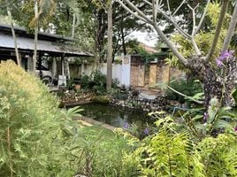 4 Schlafzimmer Haus zu vermieten in San Phisuea, Mueang Chiang Mai, San Phisuea