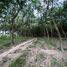  Land for sale in Nam Khok, Mueang Rayong, Nam Khok