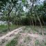  Land for sale in Mueang Rayong, Rayong, Nam Khok, Mueang Rayong