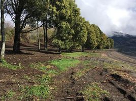  Grundstück zu verkaufen in Valdivia, Los Rios, Mariquina