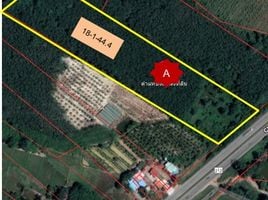  Grundstück zu verkaufen in Pak Khat, Bueng Kan, Pak Khat