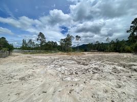  Grundstück zu verkaufen in Koh Samui, Surat Thani, Maenam