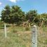  Land for sale in Thalang, Phuket, Thep Krasattri, Thalang