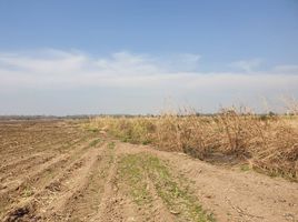  Grundstück zu verkaufen in Si Thep, Phetchabun, Khlong Krachang, Si Thep