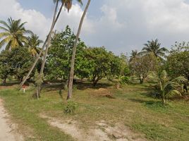  Grundstück zu verkaufen in Ban Bueng, Chon Buri, Ban Bueng