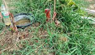 N/A Land for sale in Thawi Watthana, Bangkok 