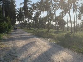  Grundstück zu verkaufen in Thap Sakae, Prachuap Khiri Khan, Huai Yang, Thap Sakae