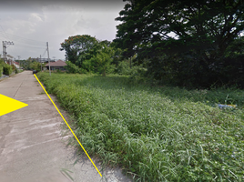  Land for sale in Nong Chom, San Sai, Nong Chom