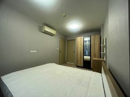 1 Schlafzimmer Wohnung zu verkaufen im Elio Sukhumvit 64, Bang Chak