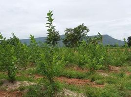  Grundstück zu verkaufen in Phu Khiao, Chaiyaphum, Nong Tum, Phu Khiao, Chaiyaphum