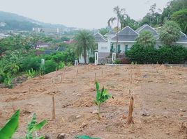  Grundstück zu verkaufen in Kathu, Phuket, Kamala