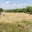  Land for sale in San Kamphaeng Chiang Mai, Buak Khang, San Kamphaeng, Chiang Mai
