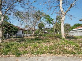  Land for sale at Chiang Mai Flora Ville, Talat Khwan