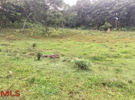  Land for sale in Girardota, Antioquia, Girardota