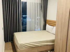 1 Schlafzimmer Wohnung zu vermieten im Modiz Sukhumvit 50, Phra Khanong