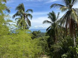  Grundstück zu verkaufen in Ko Pha-Ngan, Surat Thani, Ban Tai, Ko Pha-Ngan