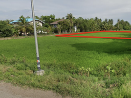  Grundstück zu verkaufen in Ongkharak, Nakhon Nayok, Phra Achan, Ongkharak