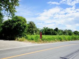  Land for sale in Chiang Mai, Huai Sai, Mae Rim, Chiang Mai