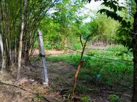  Land for sale in Mueang Tak, Tak, Nam Ruem, Mueang Tak