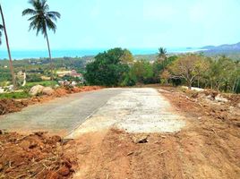  Grundstück zu verkaufen in Koh Samui, Surat Thani, Lipa Noi, Koh Samui